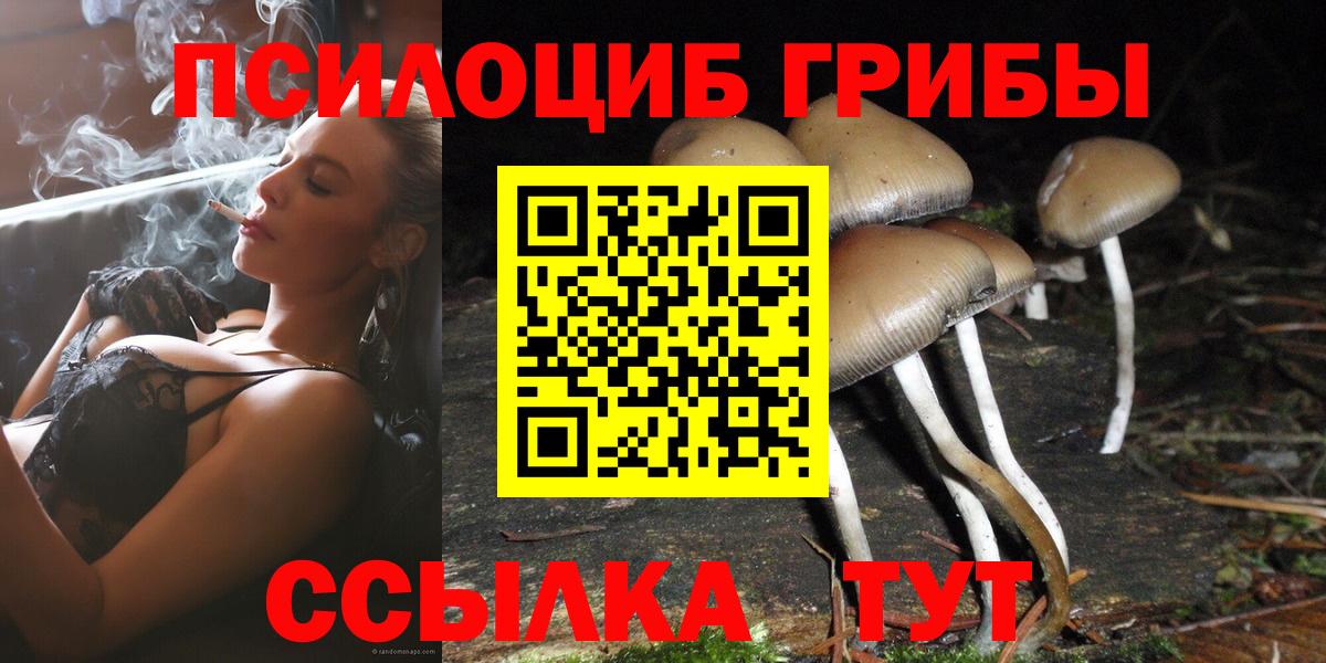 Галлюциногенные грибы GOLDEN TEACHER  Вход с VPN  Миллерово 
