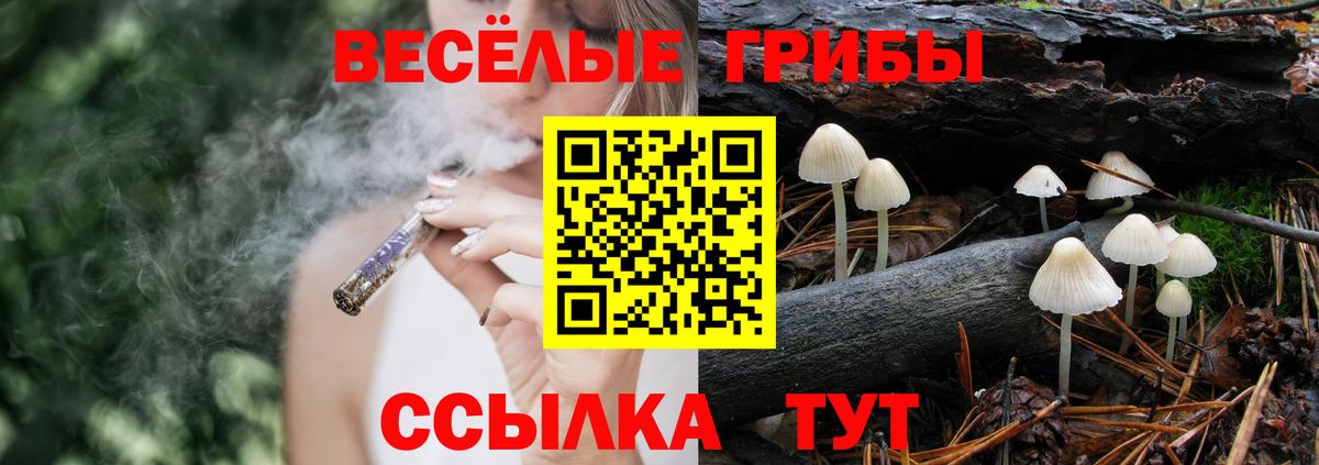 Бошки Шишки  Миллерово  МЕФ кристаллы  COCAIN  APVP СК   ГАШИШ  МЕТАМФЕТАМИН  ГАШ  Мефедрон  Вход с VPN 